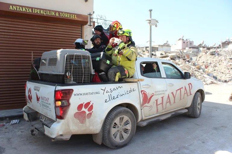 Rescue teams treat animals saved from the rubble of Turkey quakes